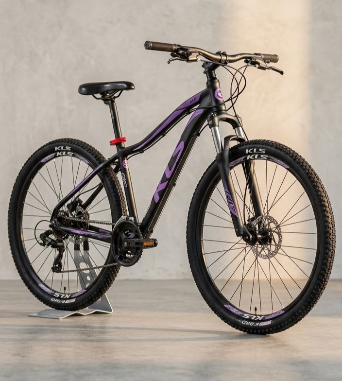 Bicicleta depois